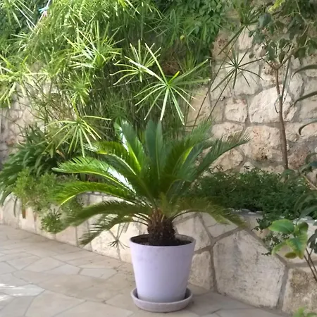 Desa Petric Hvar Town