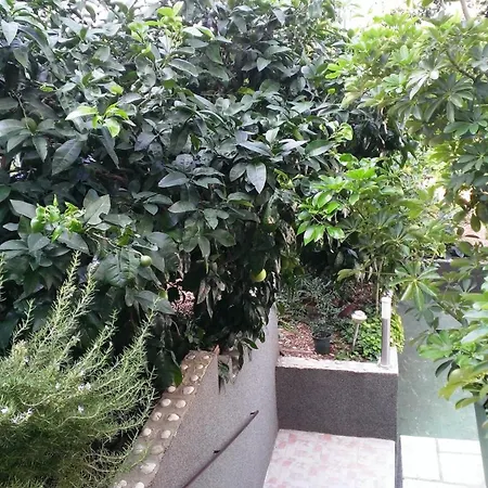 德萨彼得里奇公寓酒店